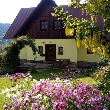Apartments Vecernik Rokytnice Rokytnice nad Jizerou Exteriör bild