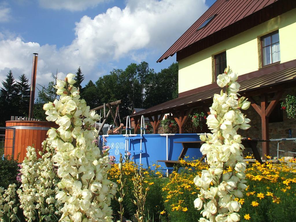 Apartments Vecernik Rokytnice Rokytnice nad Jizerou Exteriör bild