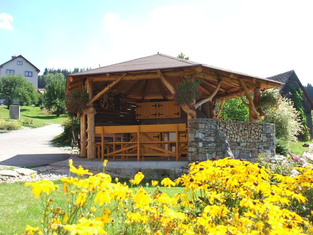 Apartments Vecernik Rokytnice Rokytnice nad Jizerou Exteriör bild