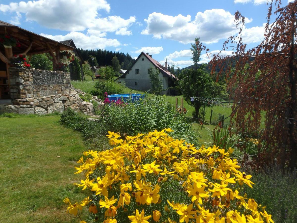 Apartments Vecernik Rokytnice Rokytnice nad Jizerou Exteriör bild